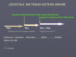probioticos-e-inmunomodulacion22